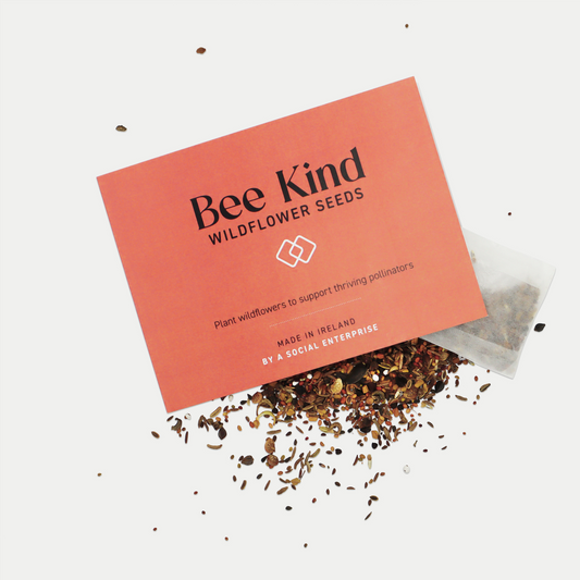 Bee Kind Wildflower Seed MIx